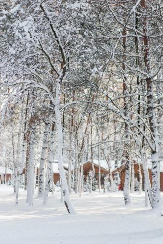 Мис Доброї Надії Полтава