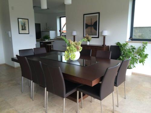 Luxury villa near Prague with pool and tennis court in 塞斯鐵利斯
