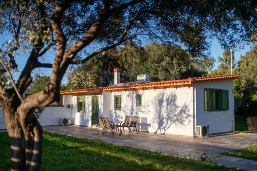House by the sea, Ejo