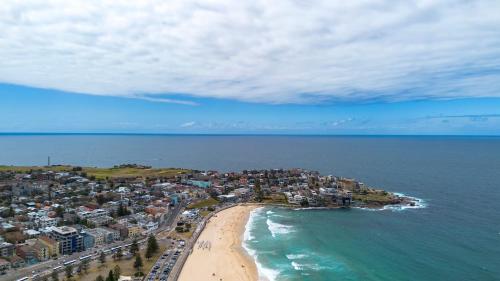 Spectacular City & Harbour Views: Bondi Junction