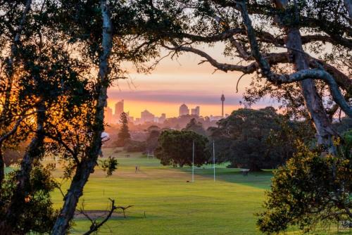 Spectacular City & Harbour Views: Bondi Junction