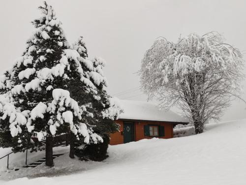  Haus Otis in Bad Mitterndorf