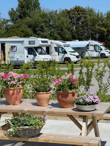 B&B/Tiny House Bij Zee