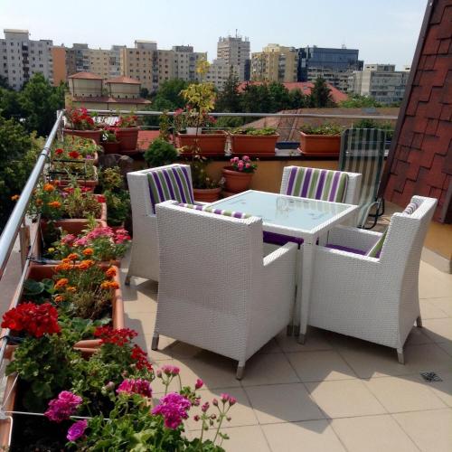 Penthouse City Centre - Apartment - Iaşi