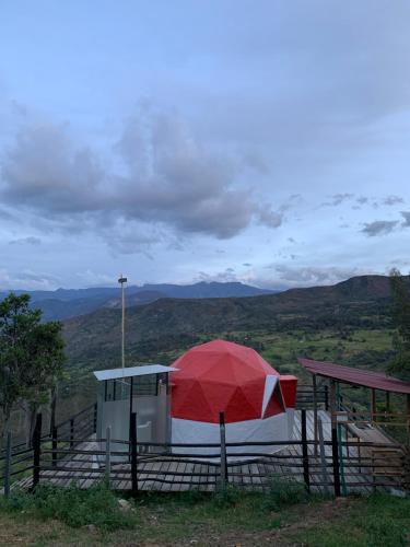 . Domo Colibrí