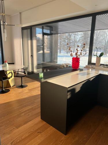 Mezapark Design Apartments, Riga (Foto 3)