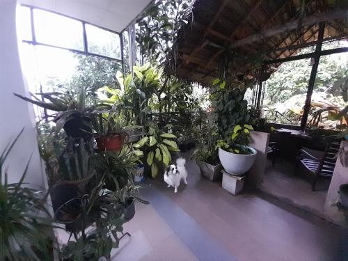 Sacred City Tourist Resort in Anuradhapura