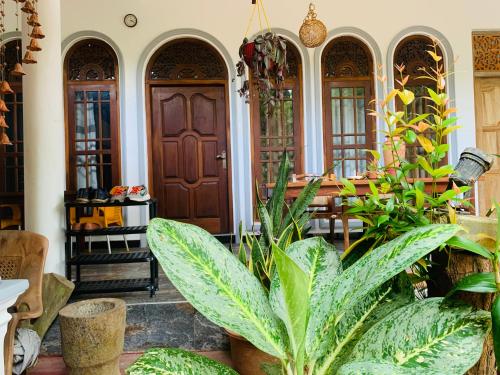 Lucky Guest, Mirissa