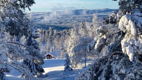 Holiday Home Långberget