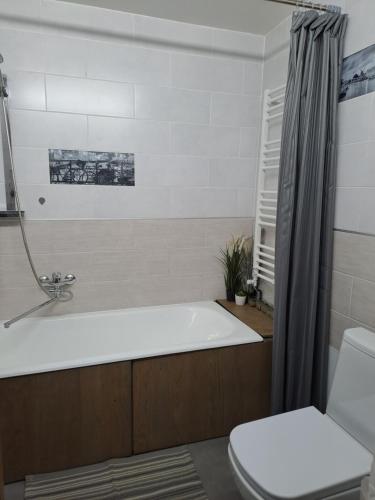 Riga Latvia couzy apartment by Gucha FREE PARKING AVAILABLE, Riga (fotografie 6)
