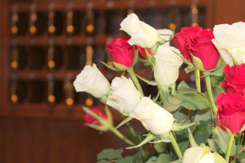 Hotel Expo Frankfurt City Centre - image 10