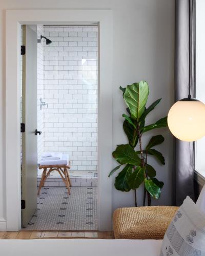 The Jesse Hotel & Bar near Fleischmann Planetárium