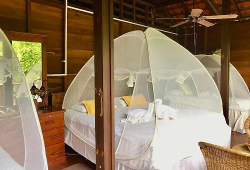 Wanakaset Forest Glamping