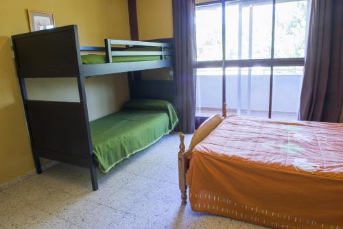 La Casona del Pinar Albergue - image 2
