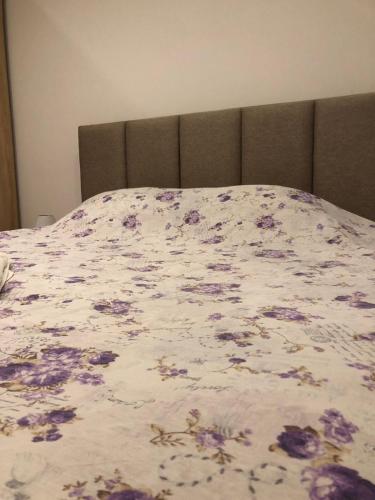 One-Bedroom Apartment image 10