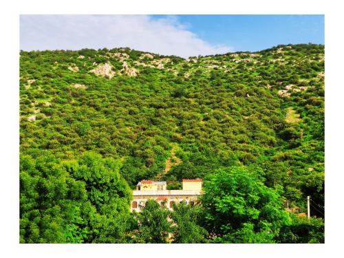 Raj Haveli- A Heritage Samode