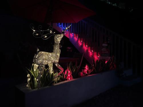 Casa Moka in Penita de Jaltemba