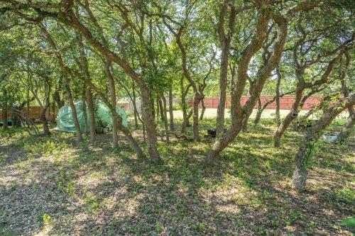 Absolutely gorgeous! 1/2+ acre corner lot w/ trees
