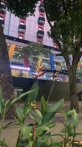 Rasyadarkaapartment