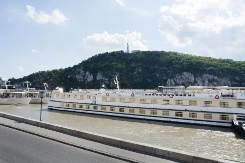 Aurora Apartment Danube View - image 10