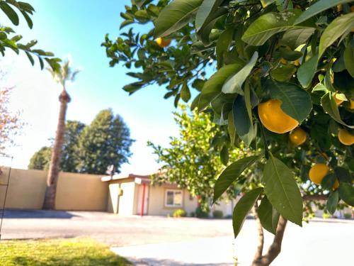 Kilátás, Royal Inn and Suites in Hemet