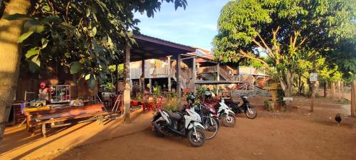 Tree Trails Homestay & Offers Jungle Trekk-Scooter For Rental