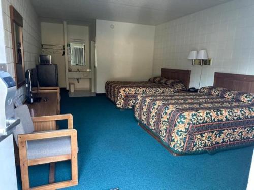 Iekārtas, Oakridge Motel in Ņūveigo (MI)
