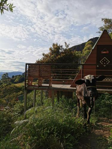 Ümbrus, Mamaterra Glamping in Guateque
