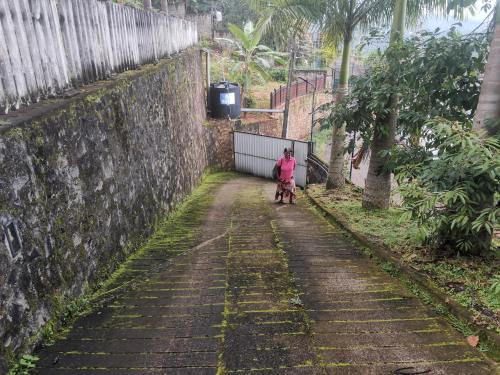 Kandy ambuluwawa mount villa