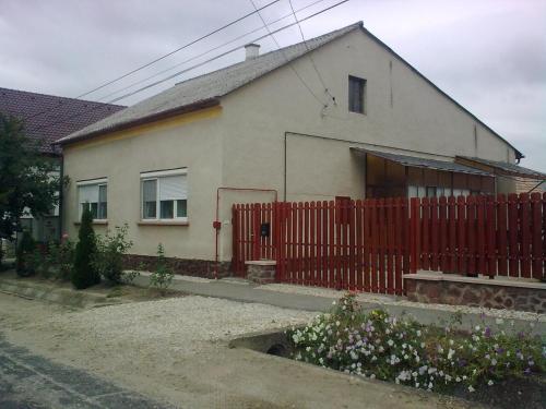 Bodzavirág Vendégház - Apartment - Hegykő