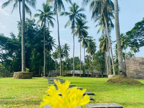 Garden, Deduru Cabana Nature Resort in Kurunegala Town Central