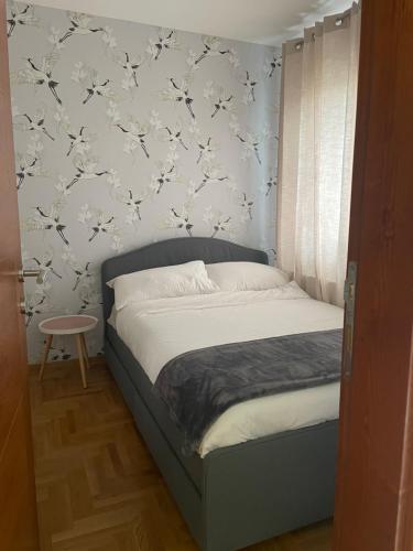 Apartman Maksima Gorkog - Location saisonnière - Vračar (historical)