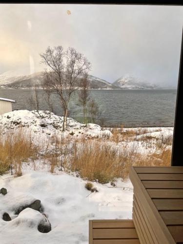Fjordbotn Camping - image 11