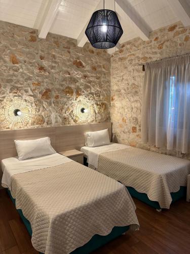 Iguana Villa - image 7