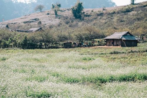 Happy House Moc Chau - image 5