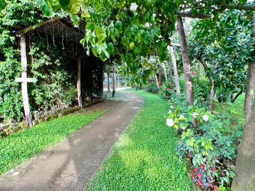 Relais Correale Rooms & Garden - image 2