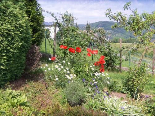 Ferienwohnung Rheinblick - image 5