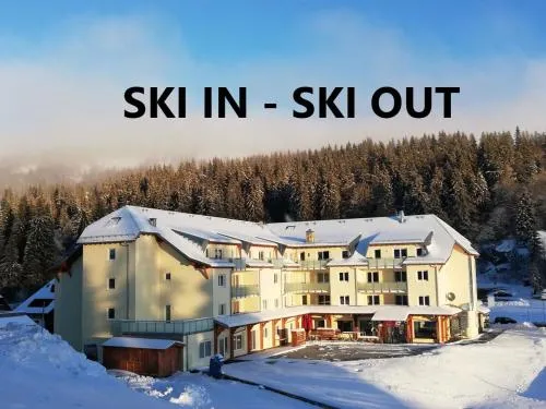 Residenz Grafenmatt Feldberg in Feldberg Schwarzwald, Deutschland