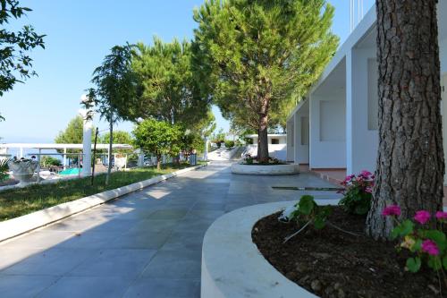Hotel Edva - image 7