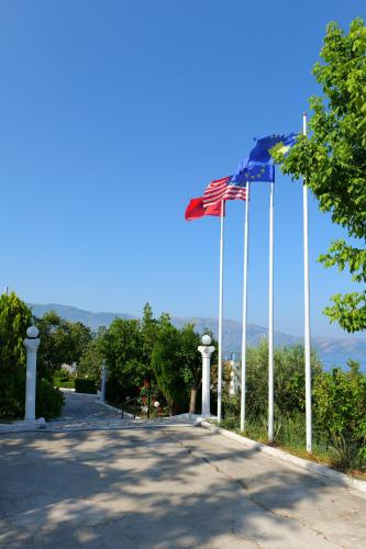 Hotel Edva - image 9