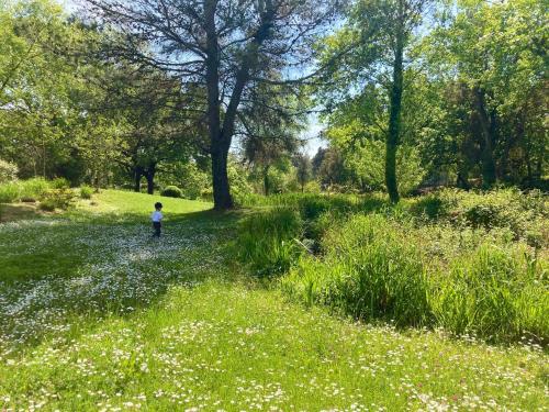 Les Restanques 21 pins 7pers Les Restanques 21 pins 7pers