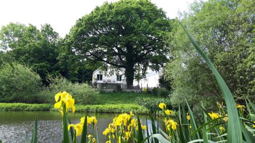 La maison de l'étang - Location saisonnière - Ploërdut