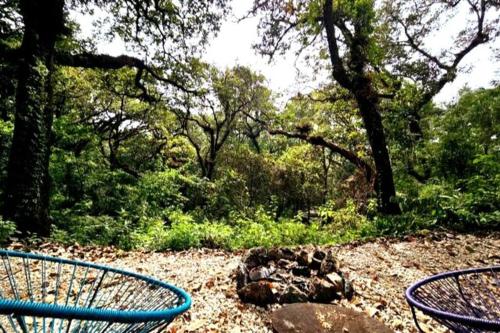 The Red Cabin at the bottom of Tepoztlán's Forest (The Red Cabin at the bottom of Tepoztlan's Forest) in ซานเปโดร