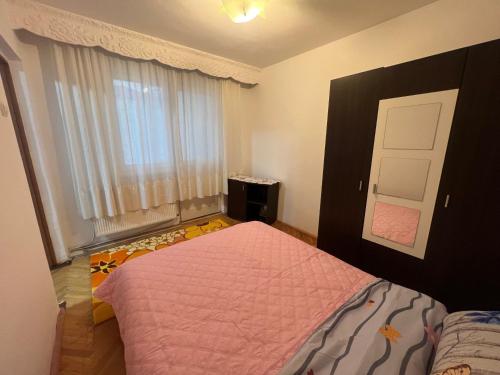 B&B Baia Mare - Apartament Traiana - Bed and Breakfast Baia Mare