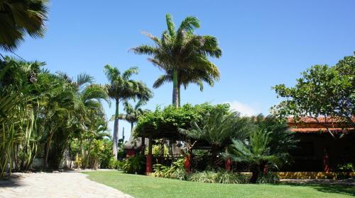 Foto - Hotel Aconchego Porto de Galinhas