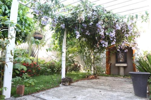 Létesítmények, Excelente chale com Wi-Fi em Itabaiana Sergipe in Itabaiana