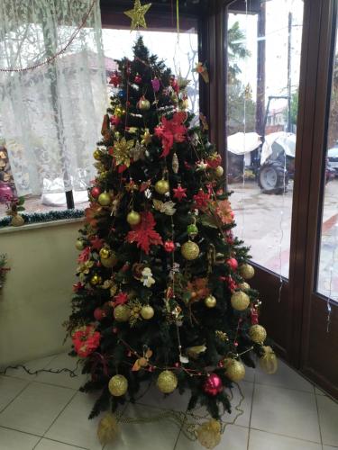 ΣΕΤΣΚΟΣ ΖΗΣΗΣ, Kato Loutraki (foto 7)
