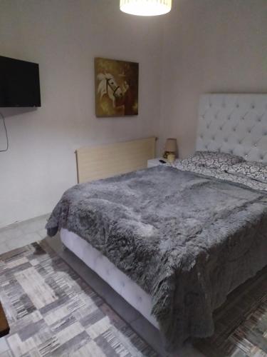 ΣΕΤΣΚΟΣ ΖΗΣΗΣ, Kato Loutraki (foto 11)