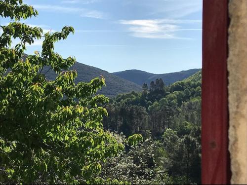 Chambre d'hôte Lavande - Le soleil des Cévennes