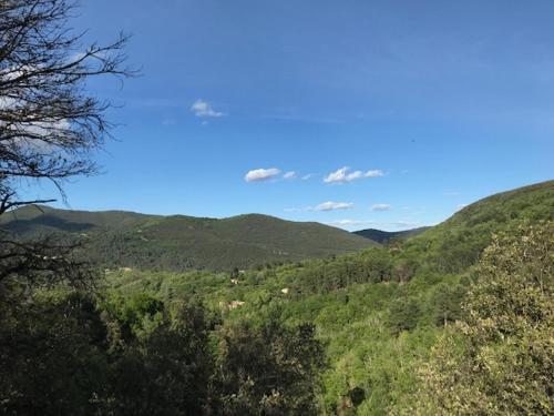 Chambre d'hôte Lavande - Le soleil des Cévennes